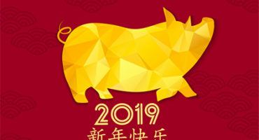 Nouvel an chinois 2019 année du cochon